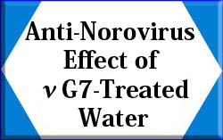 Anti-Norovirus Effect of νG7-Treated Water