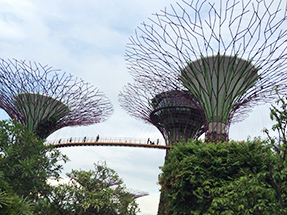Gardens by the Bay02